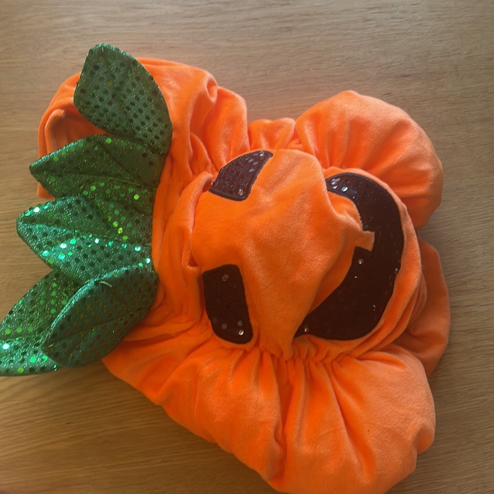 NWT PET HALLOWEEN COSTUMES - Picture 6 of 7